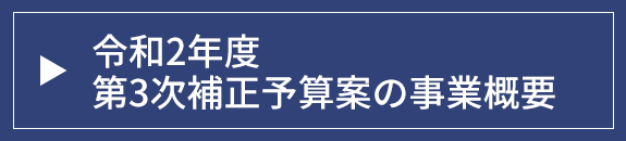 令和2年度第3次補正予算案の事業概要