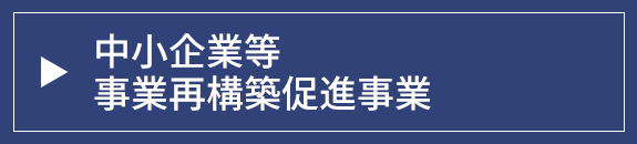 中小企業等事業再構築促進事業